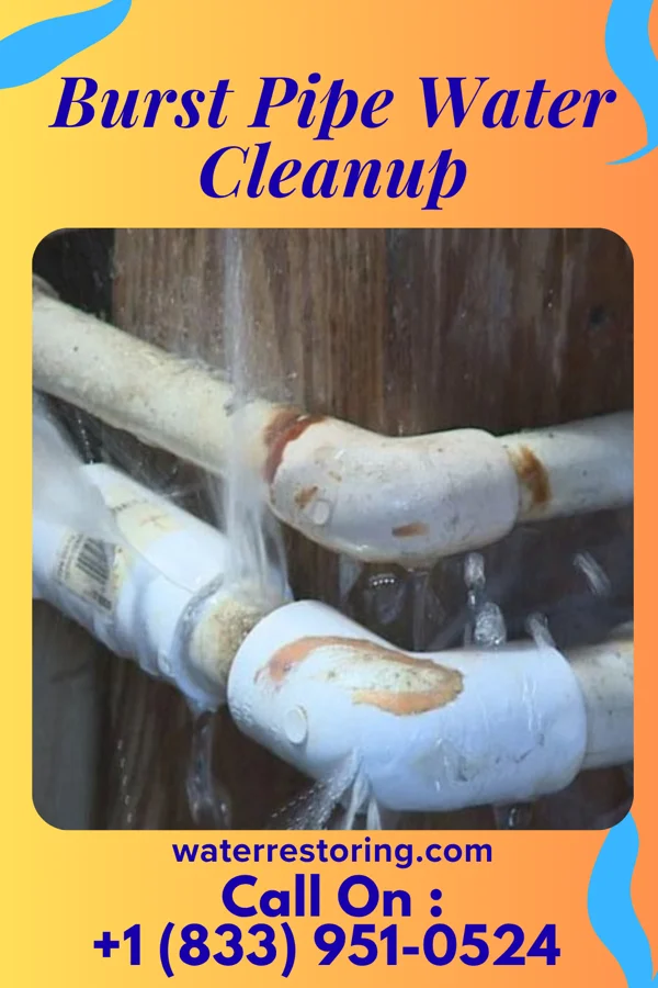 Burst Pipe Water Cleanup in William Paterson University of New Jersey, NJ