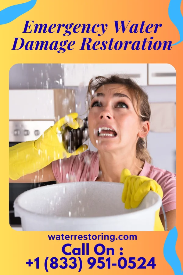 Emergency Water Damage Restoration in William Paterson University of New Jersey, NJ