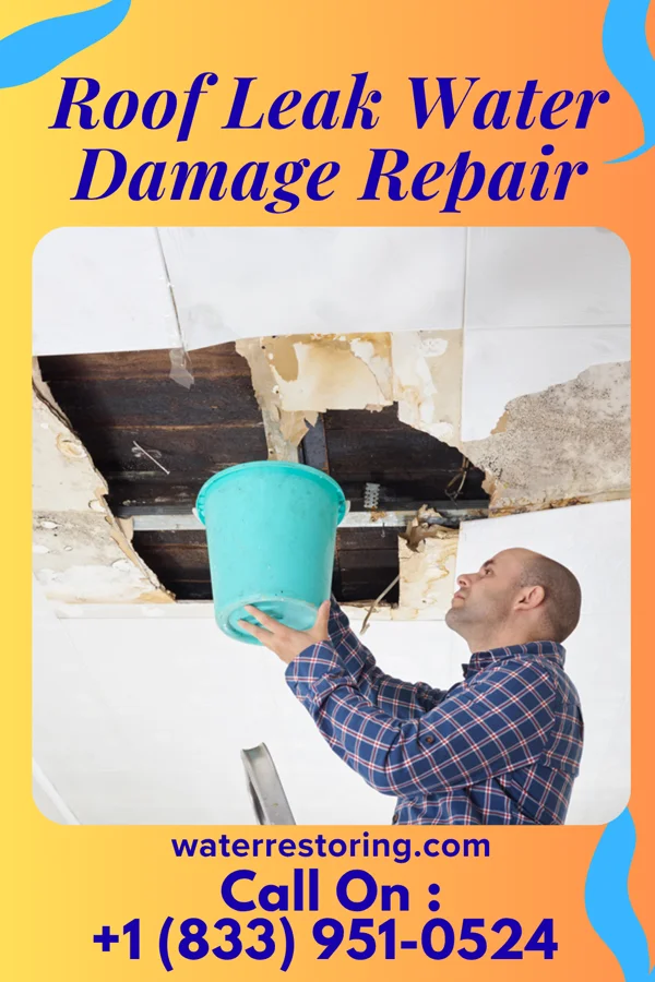 Roof Leak Water Damage Repair in William Paterson University of New Jersey, NJ